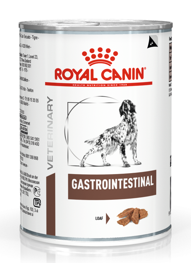 lichtgewicht contact demonstratie Royal Canin Gastro-Intestinal 400 gr | Hoodie Dier XL