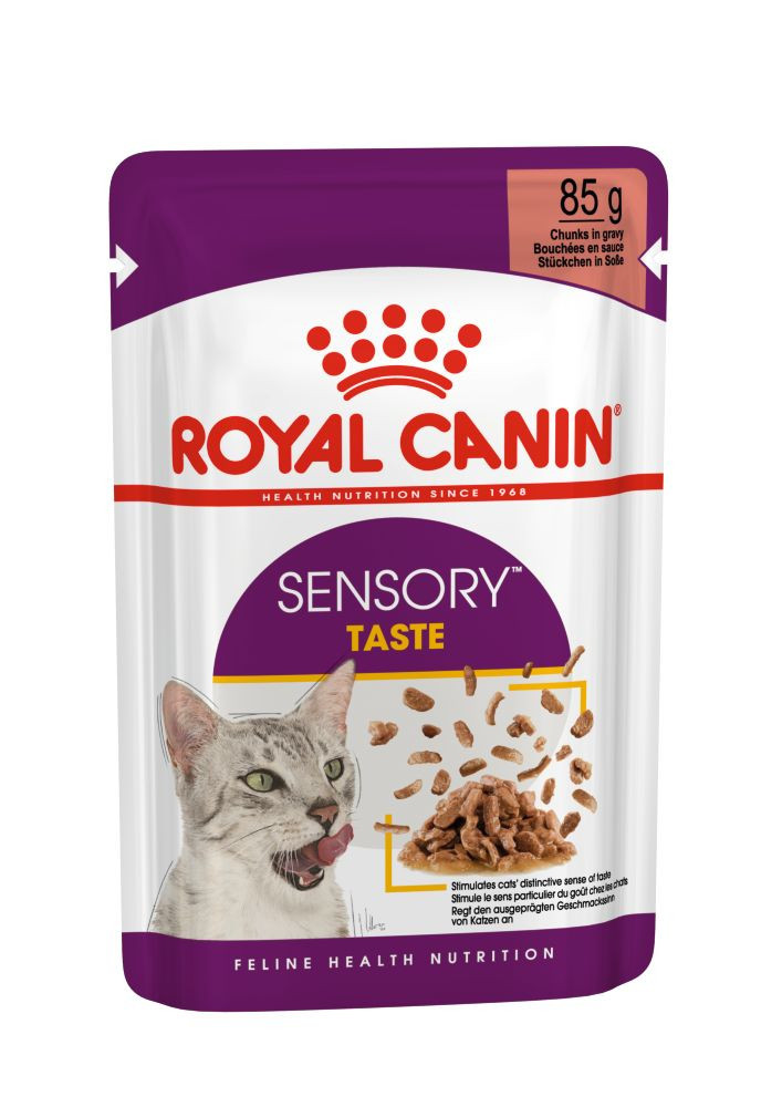schilder factor heroïsch Royal Canin kattenvoer Sensory Taste in gravy 12 x 85 gr | Hoodie Dier XL