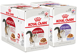 Royal Canin Kat Natvoer