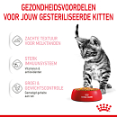 Royal Canin kattenvoer Kitten Sterilised Jelly <br>12 x 85 gr