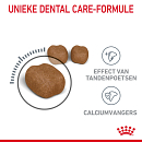 Royal Canin Kattenvoer Dental Care 3,5 kg