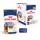 Royal Canin Hondenvoer Maxi Ageing 8+ 10 x 140 gr