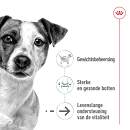 Royal Canin Hondenvoer Mini Ageing 12+ 12 x 85 gr