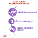 Royal Canin kattenvoer Sterilised in Jelly <br>12 x 85 gr