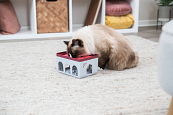 TRIXIE cat activity Rod Box