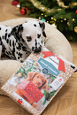 Beeztees Adventskalender Hondensnacks