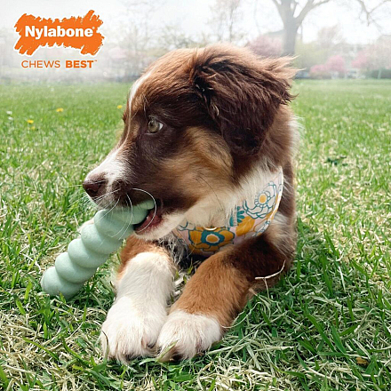 Nylabone Puppy Tactile Stick Pindakaas S